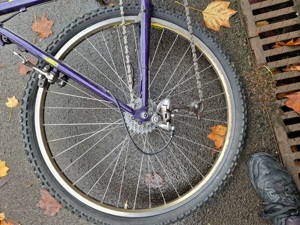 Fahrrad Bild 3