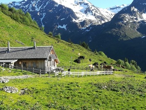 Satteinser Alpe