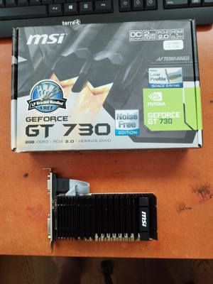 NVIDIA GeForce GT 730 (gebraucht)