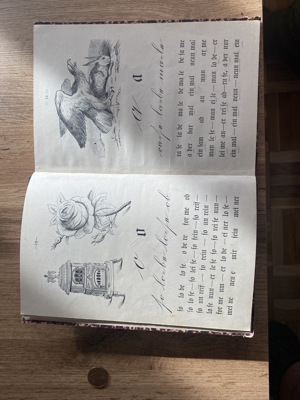 Schreib - Lese - Fibel; mit besonderer Berücksichtigung der Lautiermethode 1880 Bild 4