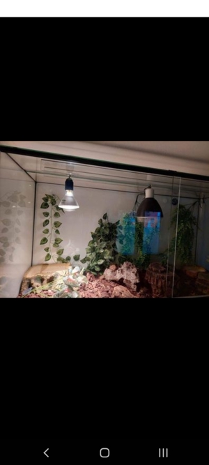 Terrarium  Bild 2