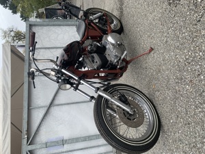 Harley Davidson 883 XLH Sportster Bild 1