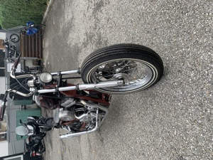 Harley Davidson 883 XLH Sportster Bild 2