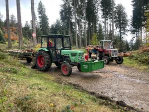 Baumfällung, Waldpflege gegen das Holz! Bild 2