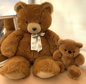 Viele wundervolle Teddy s Teddybär ab 2,80EUR Bild 9