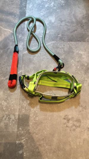 ThinkPet No-Pull Hundegeschirr mit Leine Grösse XXL gelb (NEU)