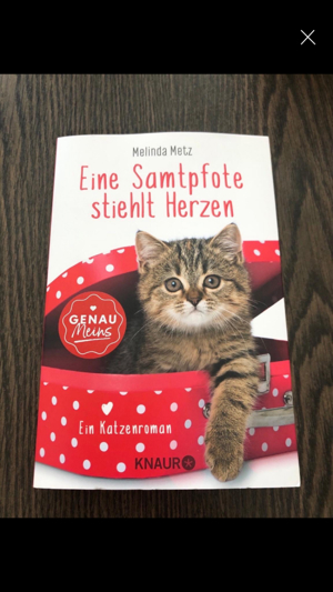 Für Katzenfans: diverse Bücher etc. ab 1,50 Euro Bild 9