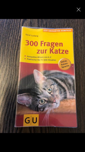 Für Katzenfans: diverse Bücher etc. ab 1,50 Euro Bild 10
