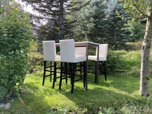 Bartisch und Stühle - Stehtisch - Bistro-Steh-Tisch Set 1xTisch, 4xBar-Stühle - weiss-braun Bild 2