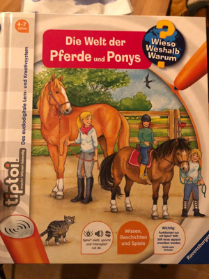 Tiptoi Das Pony