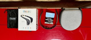 Muse 2: Das Brain Sensing Stirnband & Travel Case