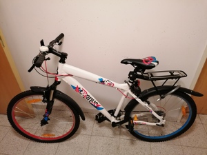 Mountain Bike, neuwertig, mit Gepäcksträger und Rücklicht 290 Euro Bild 2
