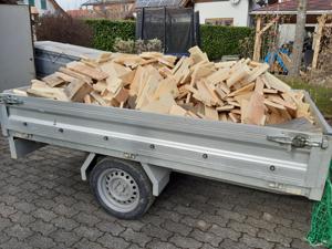 Brennholz mit Schwedenofenlänge Bild 1