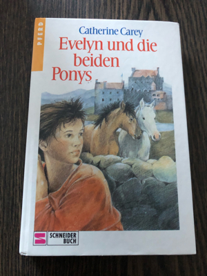 Evelyn und die beiden Ponys, Catherine Carey Bild 1