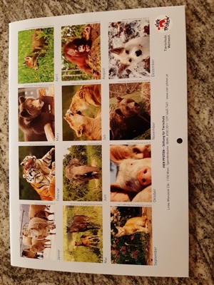 Tier - Kalender Bild 3