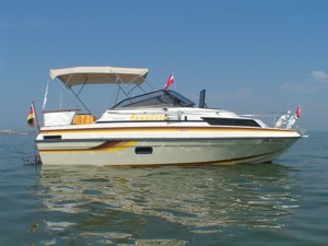 Motorboot Regal 245 Ambassador 