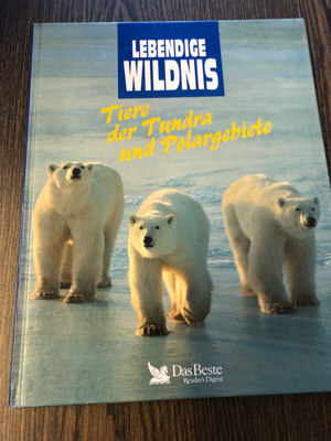 Tiere der Tundra und Polargebiete Bild 1