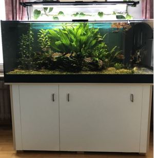 Aquarium 540 Liter mit Bio Filter Bild 2