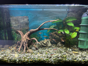 Aquarium(110 Liter) mit Fischen (Preis: Offen für Angebote) Bild 3