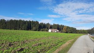 Suchen ganz Vorarlberg Haus Bauernhaus