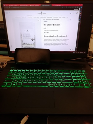 HP Pavilion Gaming Laptop 400 Euro, 2,5 Jahre alt, langlebige Marke, top Grafik, schnell & fliessend Bild 1