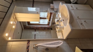 Badmöbel, WC-Möbel, Waschbecken, Spiegelschrank Bild 6