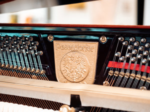 Pesendorfer Klavier in schwarz poliert. Kostenlose Lieferung in ganz Vorarlberg(*) Bild 8