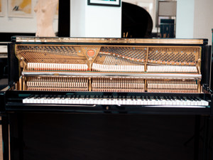 Schimmel Klavier, Qualität made in Germany! Kostenlose Lieferung in ganz Vorarlberg (*) Bild 8
