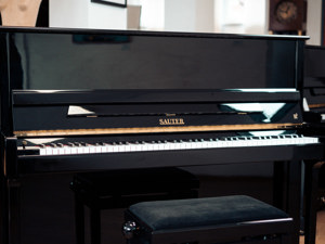 Sauter Klavier, brillianter Klang, ausgestattet mit einer Renner Mechanik. Kostenlose Lieferung (*) Bild 8