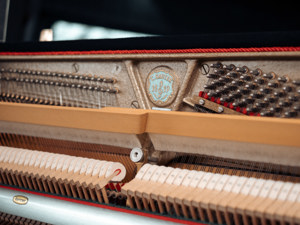 Sauter Klavier, brillianter Klang, ausgestattet mit einer Renner Mechanik. Kostenlose Lieferung (*) Bild 6