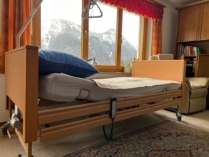 Krankenbett & Leibstuhl Bild 1