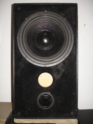 Aktiv-Subwooferbox 80 W sinus mit 25 cm-Lautsprecher (bedingt funktionsfähig) für Bastler