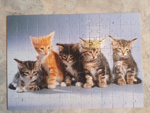 Puzzle Katzen 100 teilig Bild 1