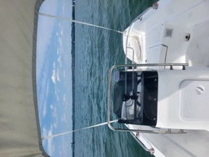 Motorboot Poseidon Fish 510T Bild 3