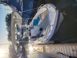 Motorboot Poseidon Fish 510T Bild 1
