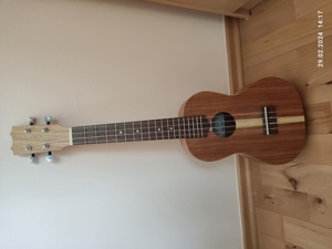 Ukulele 