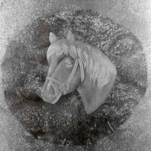 Für Pferdefreunde - RIEDEL-GLASVASE - extrem schweres Kristall 3,7 kg Bild 5