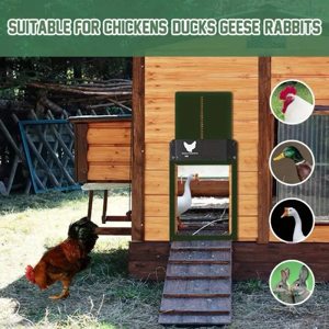 Automatische Hühnerstall Hühnerklappe Türöffner Hühnertür Mit Lichtsensor  Grün Bild 5