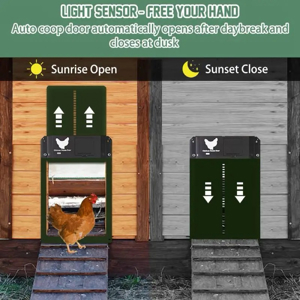 Automatische Hühnerstall Hühnerklappe Türöffner Hühnertür Mit Lichtsensor  Grün Bild 3