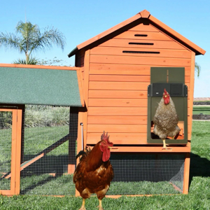 Automatische Hühnerstall Hühnerklappe Türöffner Hühnertür Mit Lichtsensor  Grün Bild 7