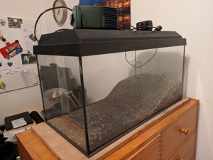 Aquarium (54l) mit Abdeckung Licht, Filter und Heizung