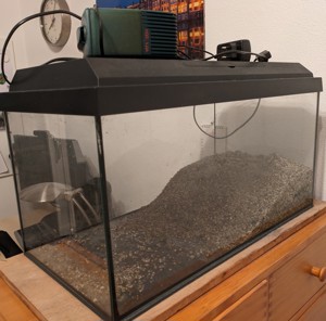 Aquarium (54l) mit Abdeckung Licht, Filter und Heizung Bild 1