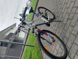 Fahrrad Kinder 24 Zoll