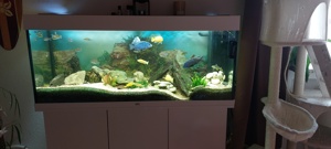 Aquarium  Bild 1