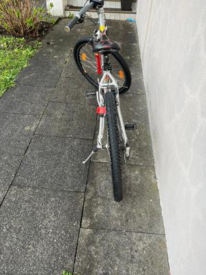 KTM Fahrrad Bild 3