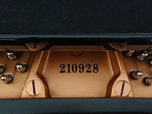 Steinway & Sons Flügel Modell M170 schwarz poliert   Neuwertig Bild 6
