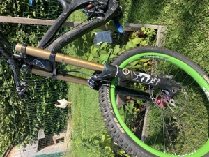Downhill Bike Bild 2