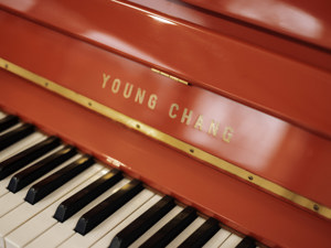 Young Chang Klavier in der Farbe Rot. Kostenlose Lieferung in ganz Vorarlberg (*) Bild 10