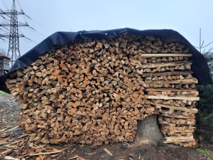Brennholz weich (Fichte, Tanne), trocken gelagert Bild 1