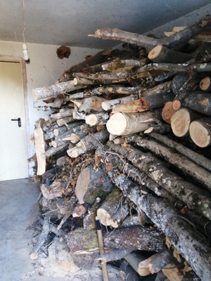 Brennholz buche zu verkaufen hartholz